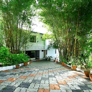 green-magic-home.kerala-hotels.net/