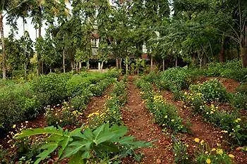 Indus Valley Ayurvedic Centre Mysore 3*,  India